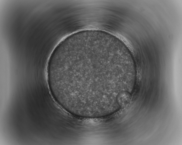 X0000095530950200801111410