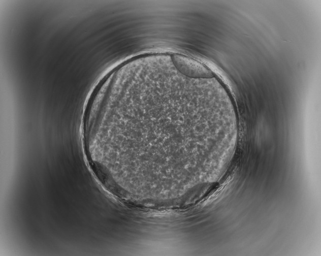 X0000095530951200801111410