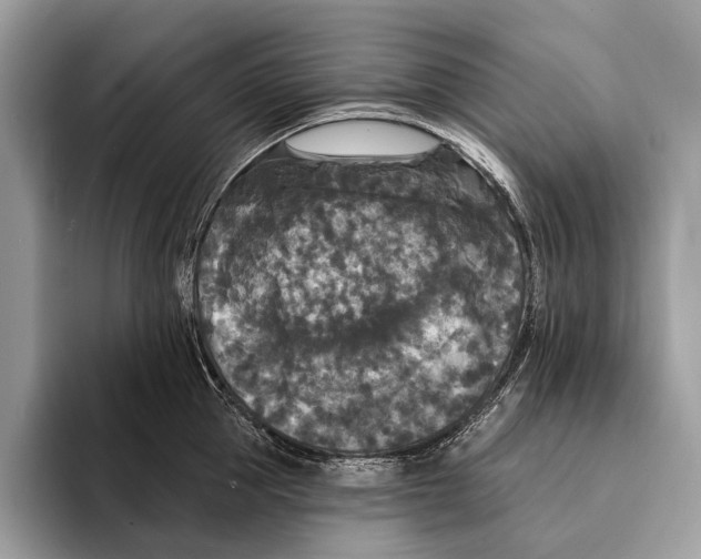 X0000095530953200801111410