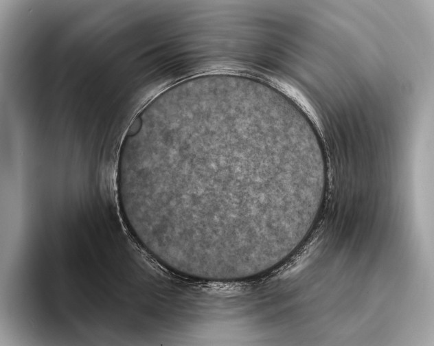 X0000095530954200801111410