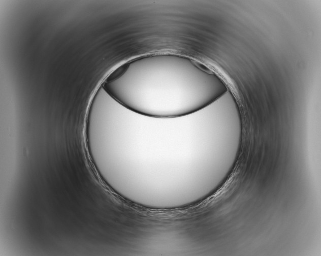 X0000095530956200801111410