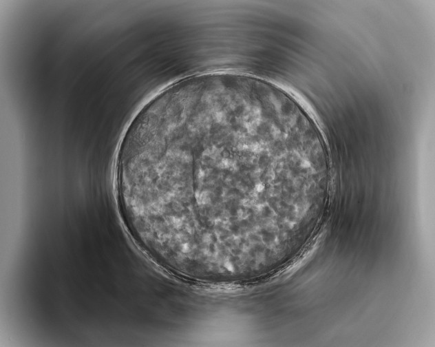 X0000095530957200801111410