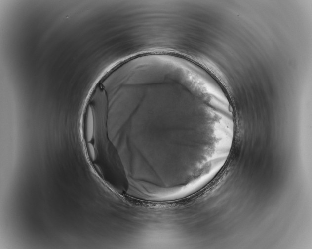 X0000095530958200801111410