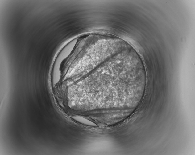 X0000095530960200801111410