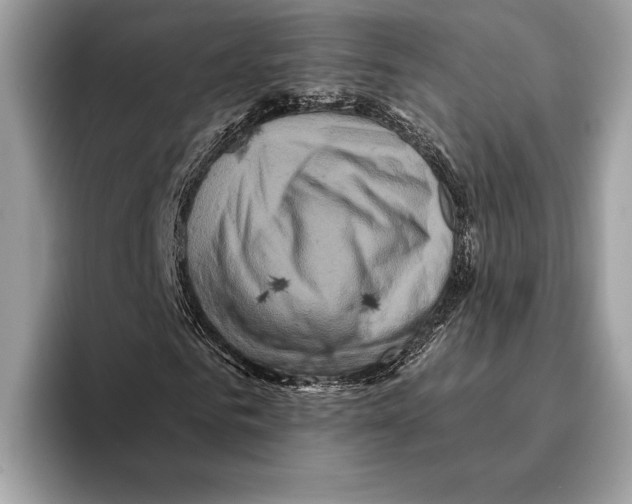 X0000095530961200801111410