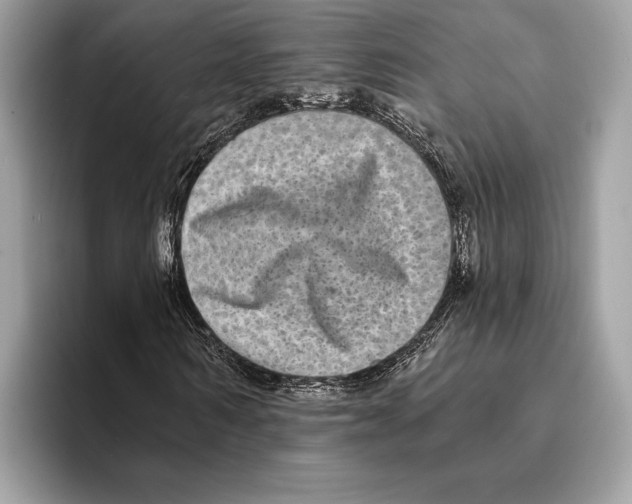 X0000095530962200801111410