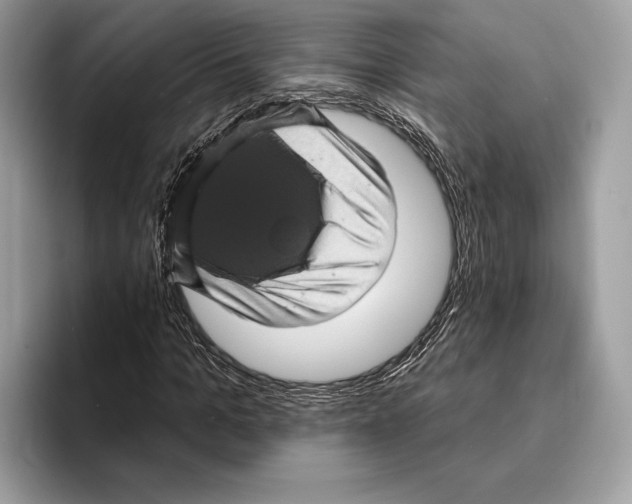 X0000095530965200801111410