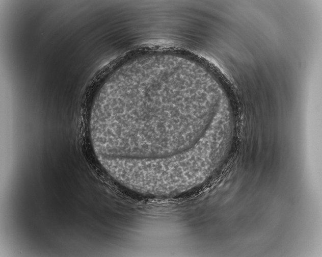 X0000095530967200801111410