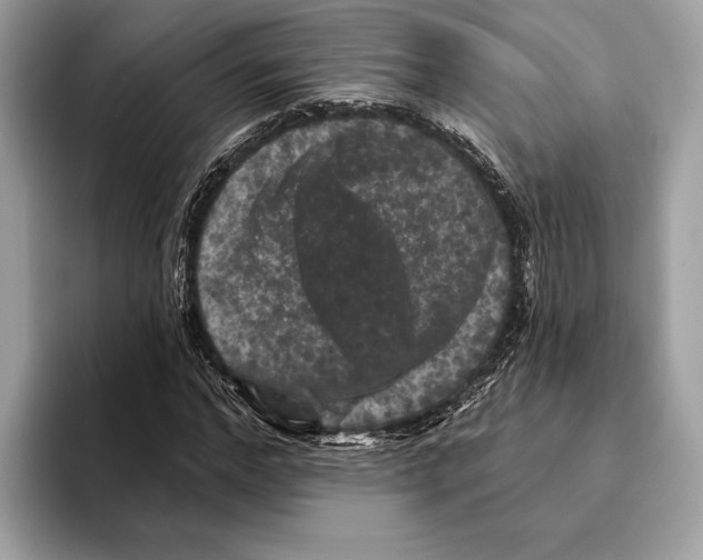 X0000095530968200801111410