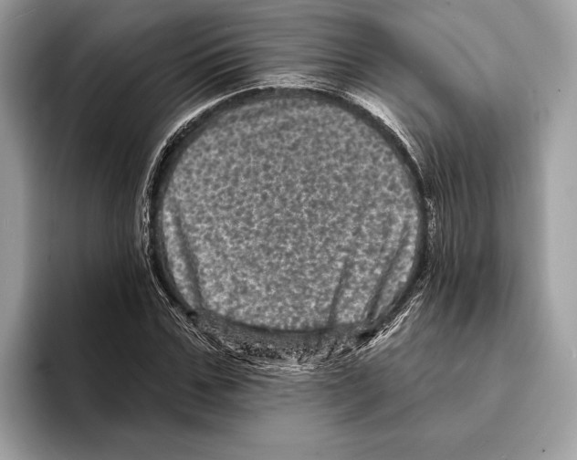 X0000095530971200801111410