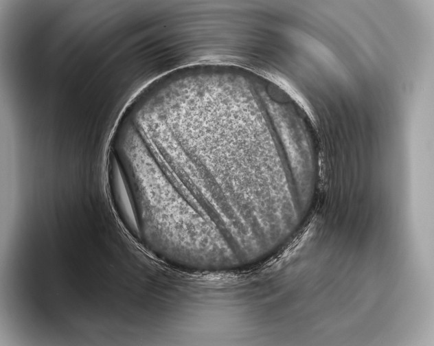 X0000095530972200801111410