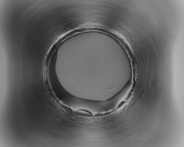 X0000095530973200801111410