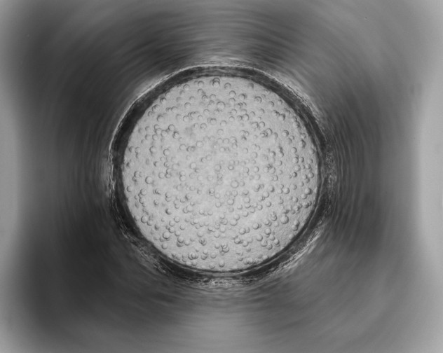 X0000095530974200801111410