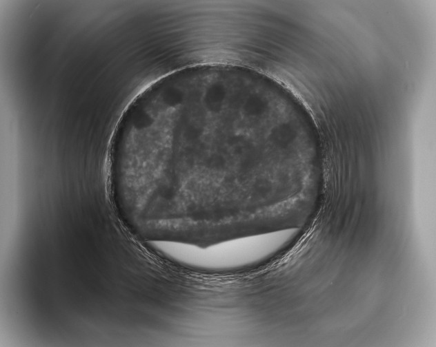 X0000095530975200801111410