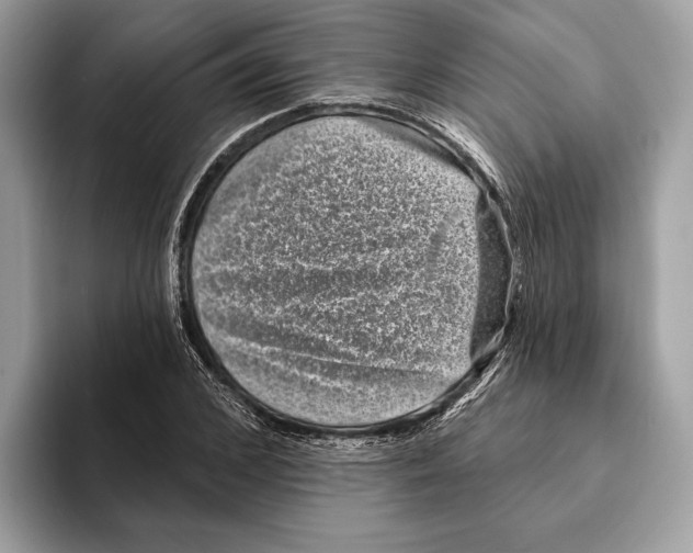 X0000095530976200801111410