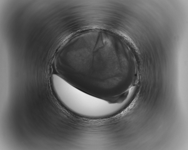 X0000095530977200801111410