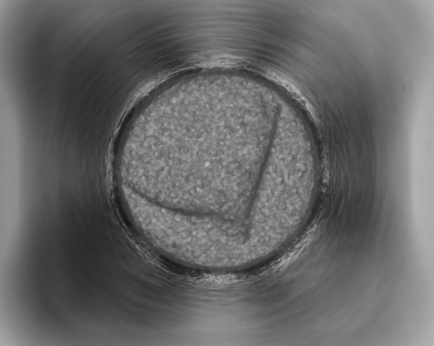 X0000095530978200801111410