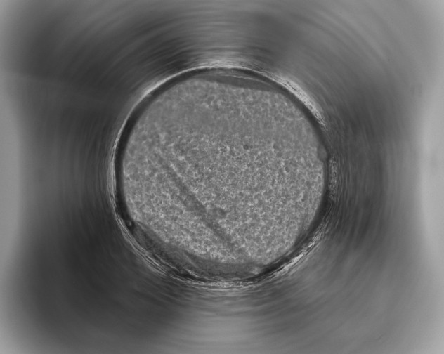 X0000095530980200801111410