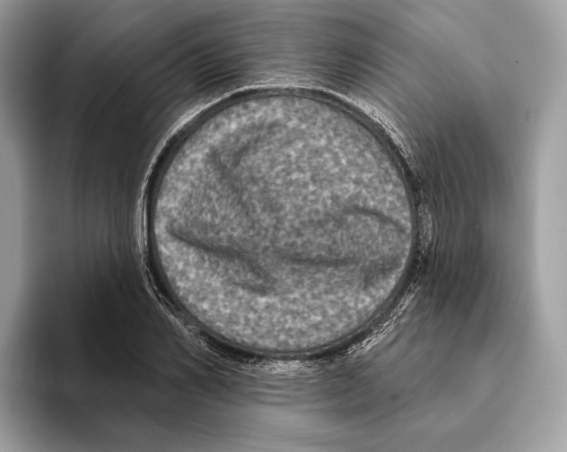 X0000095530982200801111410