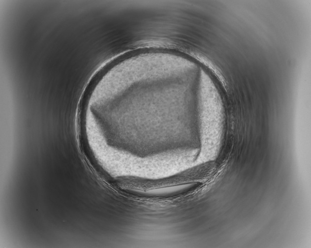 X0000095530983200801111410