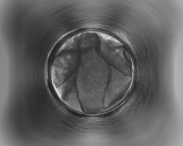 X0000095530984200801111409