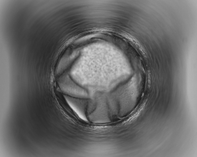 X0000095530985200801111409