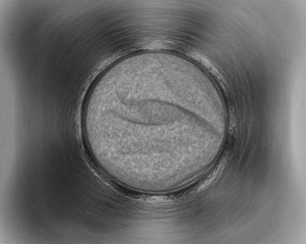 X0000095530986200801111409