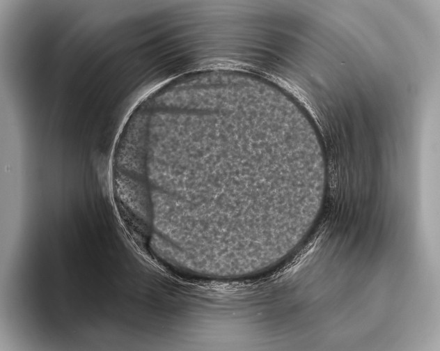 X0000095530987200801111409