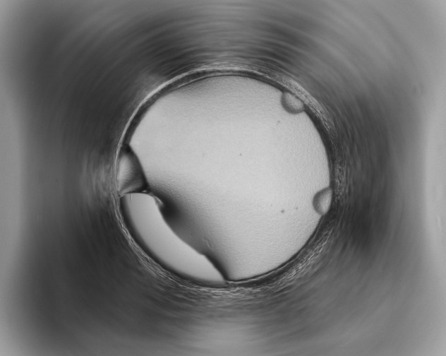 X0000095530988200801111409