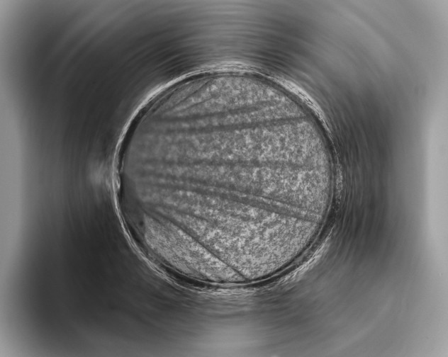 X0000095530989200801111409