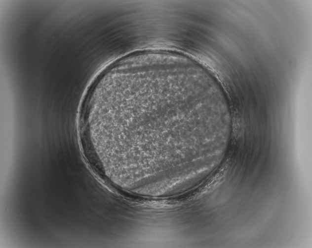 X0000095530990200801111409