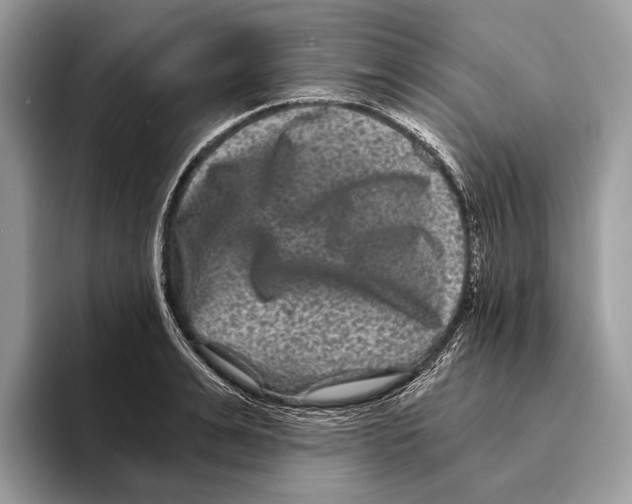 X0000095530991200801111409