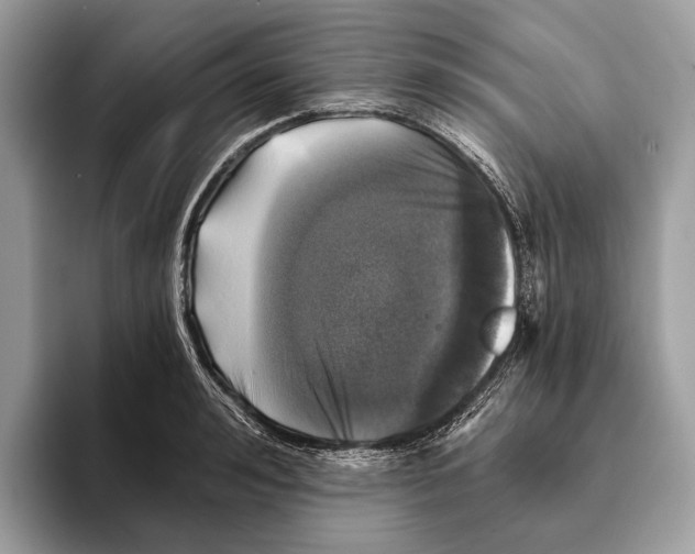 X0000095530992200801111409