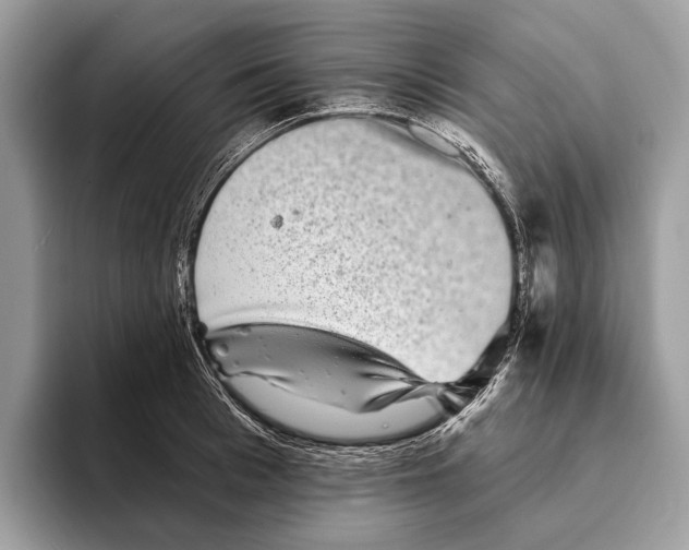 X0000095530993200801111409