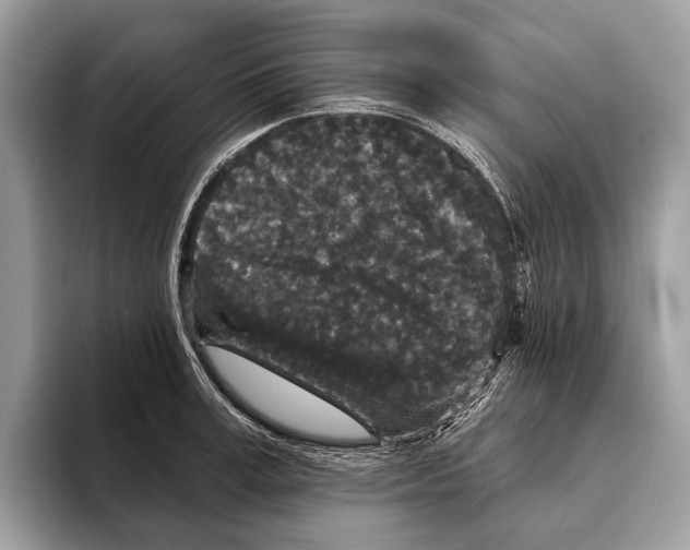 X0000095530995200801111409