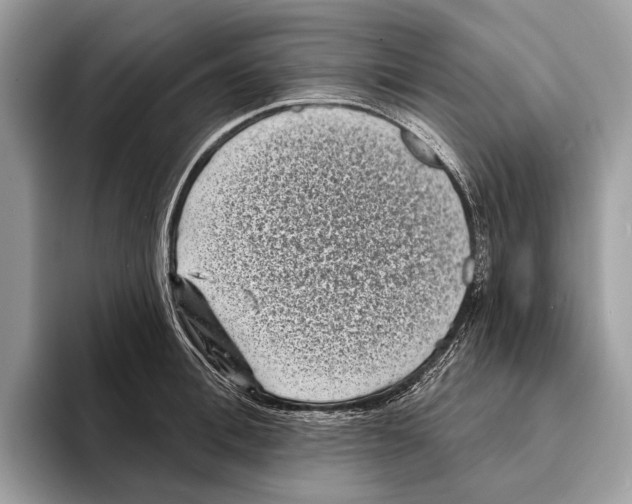 X0000095530996200801111409