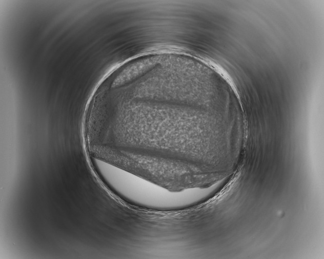 X0000095530997200801111409