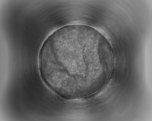 X0000095530998200801111409