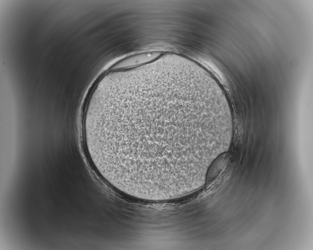 X0000095531000200801111409