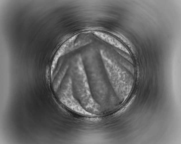 X0000095531001200801111409