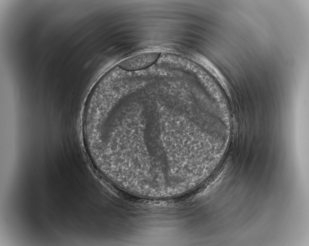 X0000095531002200801111409