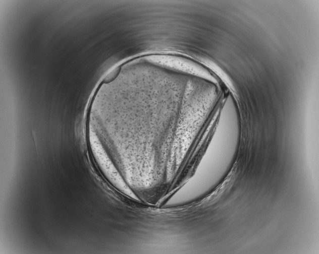 X0000095531004200801111409