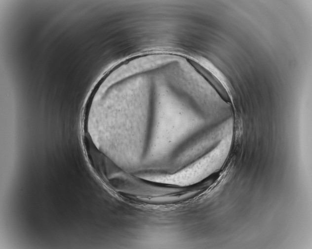 X0000095531005200801111409