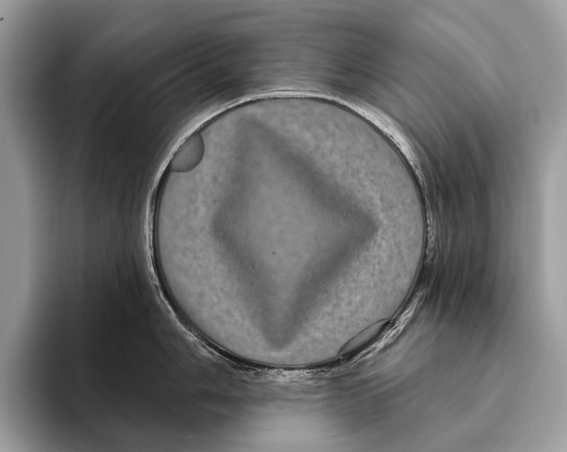 X0000095531006200801111409