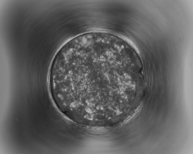 X0000095531007200801111409