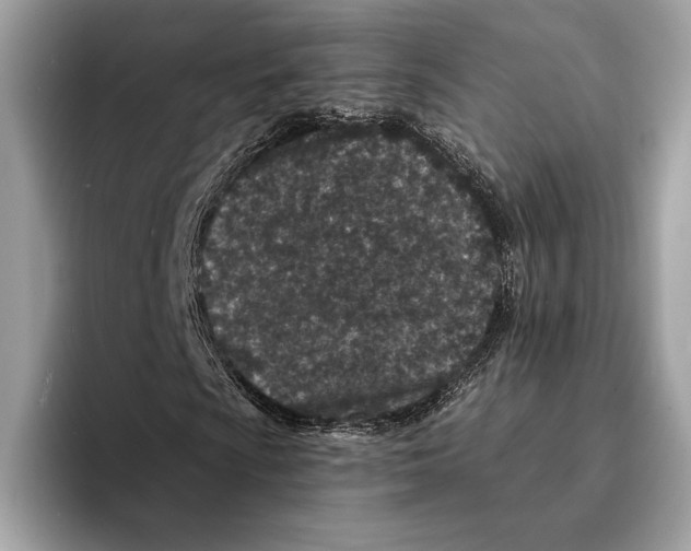 X0000095531009200801111409