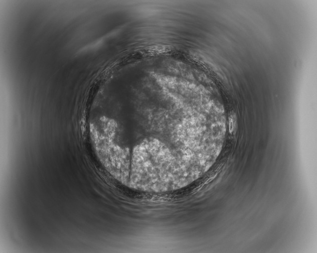 X0000095531011200801111409