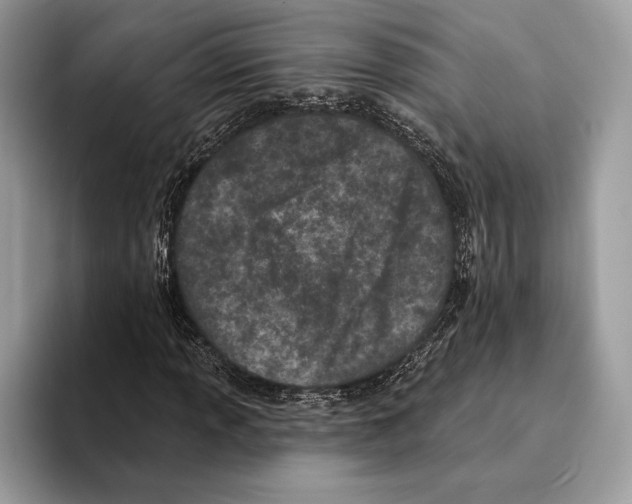 X0000095531013200801111409