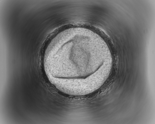 X0000095531016200801111409