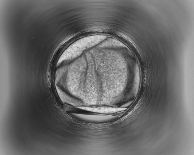 X0000095531018200801111409